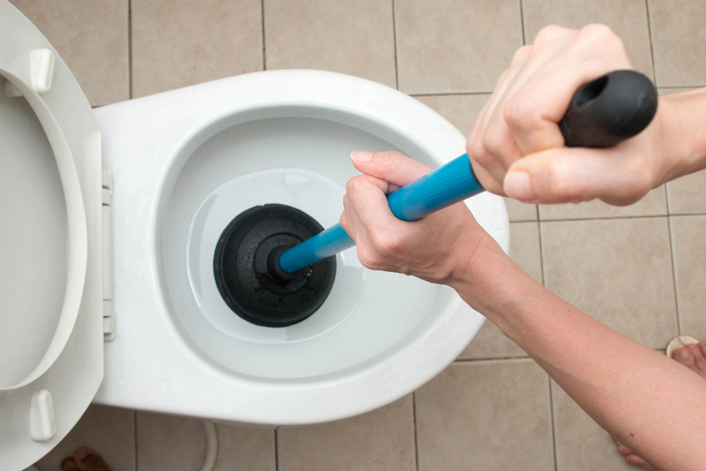 Clogged Toilet Repair Services